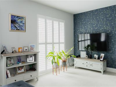 Picture 8